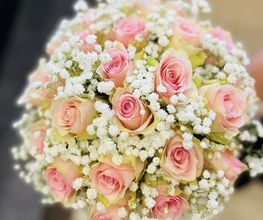 Blumen Leo Bild 1