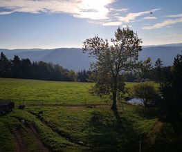 Ferienparadies Althäuslehof Bild 9