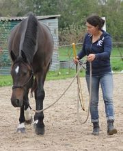 Ponte F SARL image 8