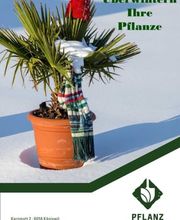 Pflanzen überwintern