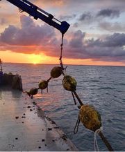 Les Vignes Marines image 9