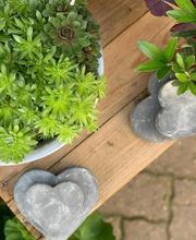 Les Fleuridées Bild 5