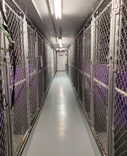 Pet Paradise image 9