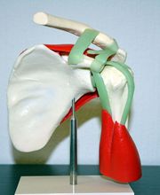 Cabinet Médical BRENN Steve Bild 5