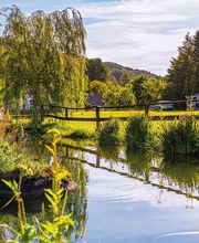 Camping Endler Bild 6