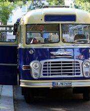 DRESDNER WHISKYBUS Bild 3