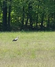 EselWanderHof-Spree-Neiße Bild 7