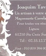 Tavares Joaquim image 1