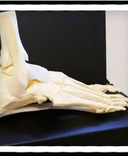 Boerrigter Fysiotherapie afbeelding 3