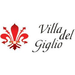 Villa del Giglio Casa di Riposo logo