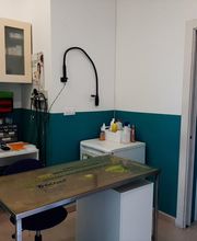 clinica-veterinaria-bau-bau-8.jpg