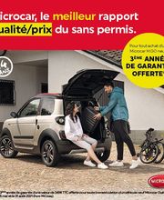 Voiture Sans Permis image 9