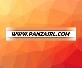 panzasrl.com immagine 4