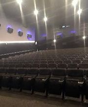 OCINE Blanes imagen 14