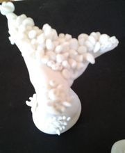 Reflets d'Ocres image 2