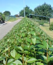 VorNach GmbH Bild 11