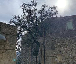 LB Paysage image 9
