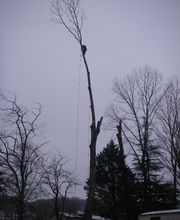 Vagne Service Verts image 6