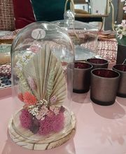 Jardinerie du Bois-Paris image 8