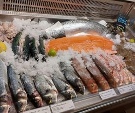 Omega3 Bild 1