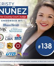 Reach Voters image 6