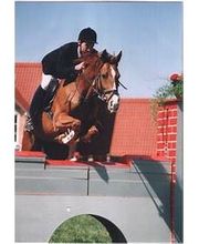 Tierarztpraxis Kay Bild 3
