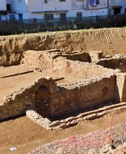 IN SITU SCP imagen 1