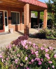 Cynthia A. Bolton, DDS image 5