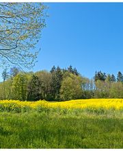 Gemeindeschreiberei Einwohnerkontrolle Kallnach Bild 12