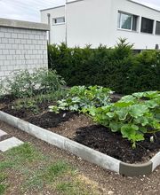 Jérôme Stäheli Paysagiste Bild 11