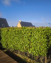 Les Jardins Secrets image 6
