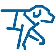 Stiftung Schweizerische Schule für Blindenführhunde