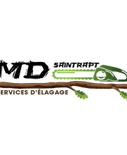 MD Saintrapt image 11