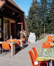 Waldrand Beizli Bild 14