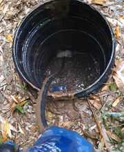 Antho Assainissement image 6