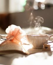 Schock Karin Life Coach Bild 2