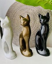 Funema Alzira imagen 12