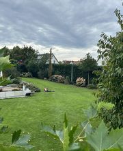 Gartenservice Mark Miess Bild 5