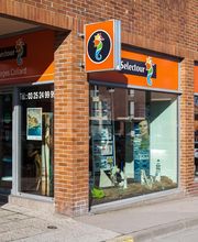 Cars Collard image 4