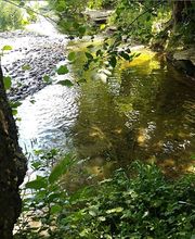 Guillermain Carole image 19