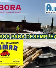 8893208-5-gJbs7tO4pf1699373307042.jpeg