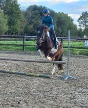 Haras du Cercle image 14