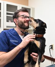 North Buffalo Animal Hospital image 1