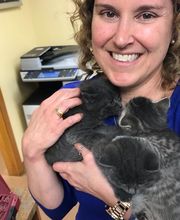 Manchester Veterinary Clinic image 15