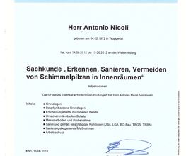 Malermeister Antonio Nicoli Bild 4