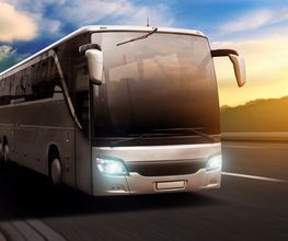 Busreisen