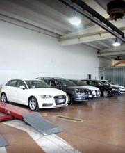 Gallery Cliente