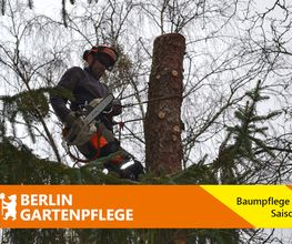 Berlin-Gartenpflege Bild 3