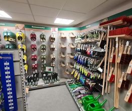 Kiebitzmarkt Tettenborn Bild 13