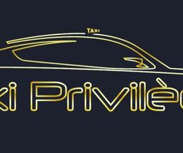 Taxi Privilege image 13